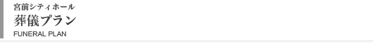 ���V�v����